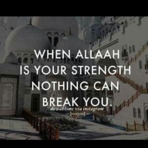 Meet your Posher, Karika